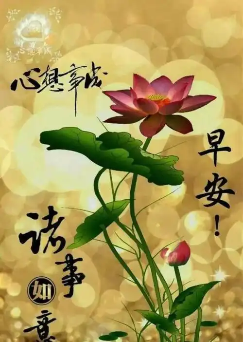 8月最新的唯美暖心早上好问候语句早安祝福语短信图片表情带字