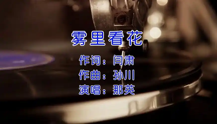 《雾里看花》—那英