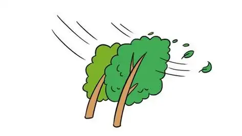 风与树的简笔画