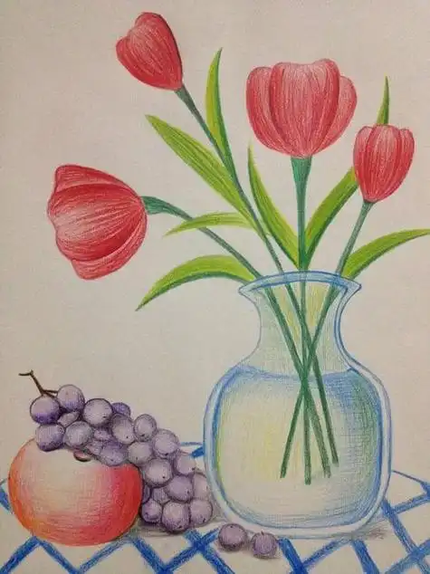 彩铅画 蝴蝶彩铅画彩铅画入门 简单的儿童绘画学习彩铅画简单又好看的