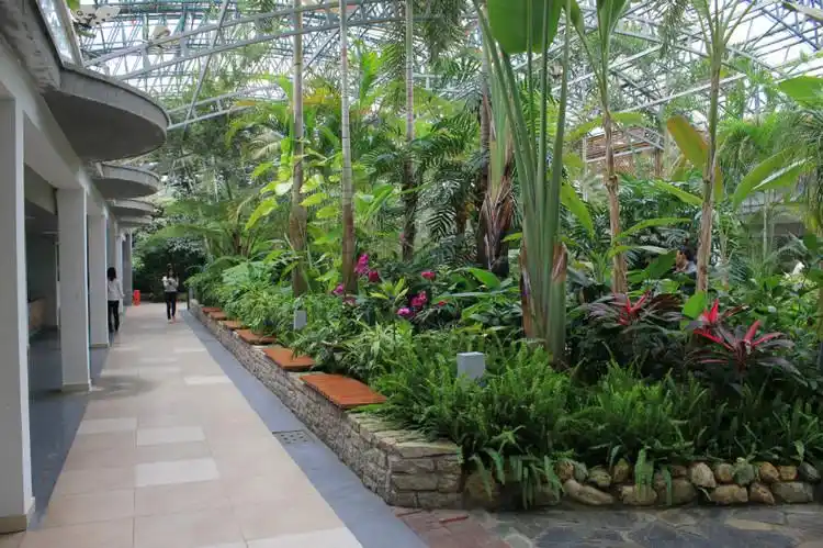 深圳东部华侨城之二:四季植物馆(摄影)