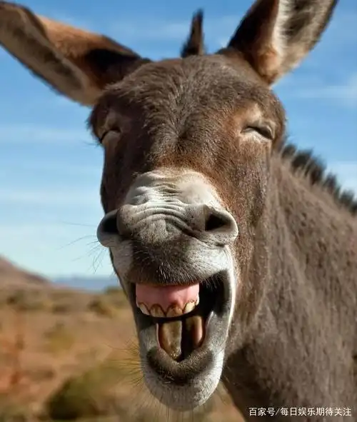 盘点那些笑喷的明星瞬间尴尬