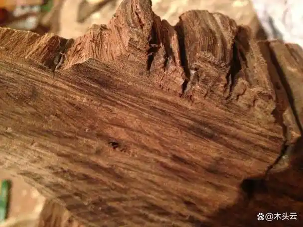 关于木质香,你了解多少?