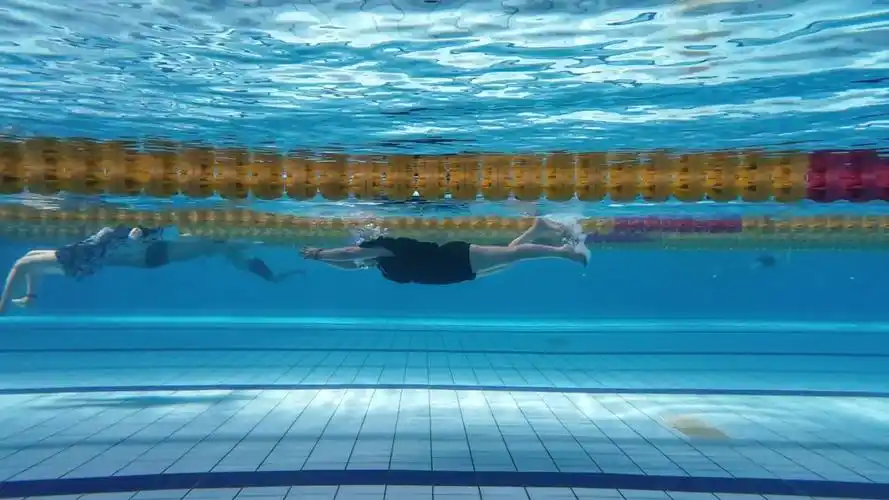 好看的泳姿千篇一律,还是姐姐们好看98#游泳 #学游泳