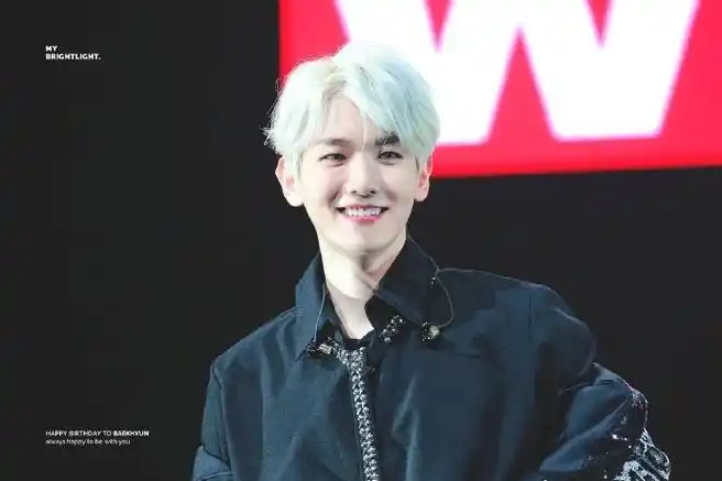 边伯贤#19111294 we are the future tour in 沃斯堡    银色小