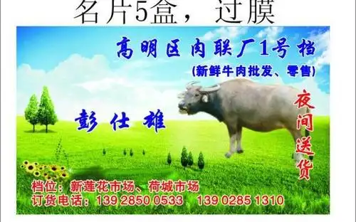 模板下载,本次平面广告                        作品主题是牛肉名片