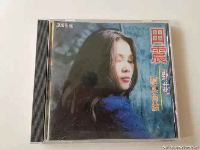 田震野花精选集