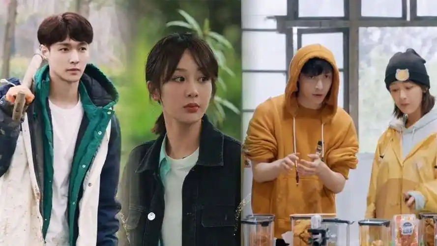 参加综艺多脑子好使,粉丝反应亮了_黄明昊_张艺兴_杨紫