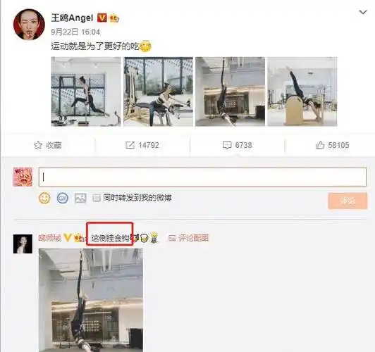 原创王鸥晒普拉提运动照悬挂倒立大秀完美身材黄金比例太迷人