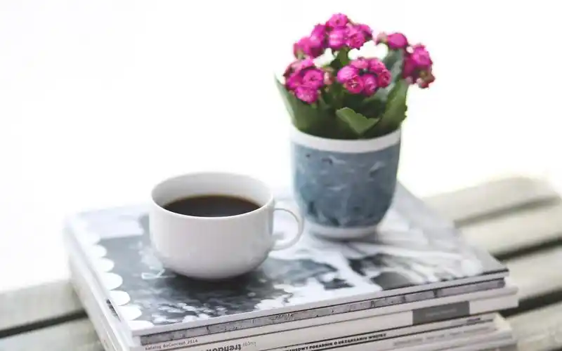 小清新治愈系家居静物桌面壁纸