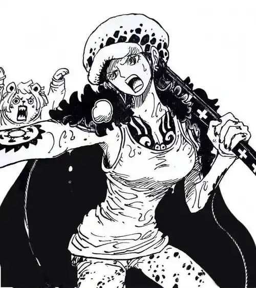 s12参赛选手接连确诊 《海贼王》里的罗也变女人了 | 每日b报_进行