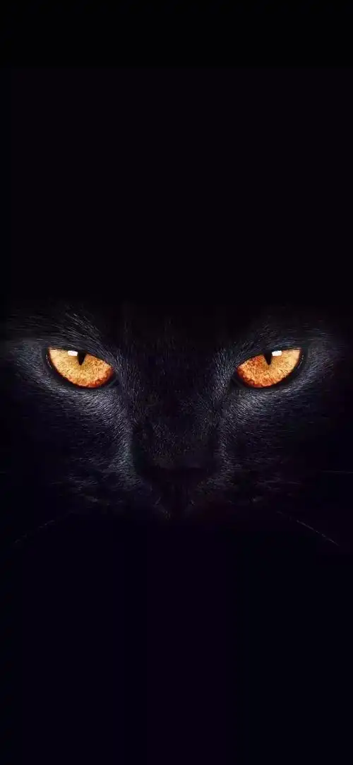 抖音上超火的睁眼壁纸屏幕自动睁眼