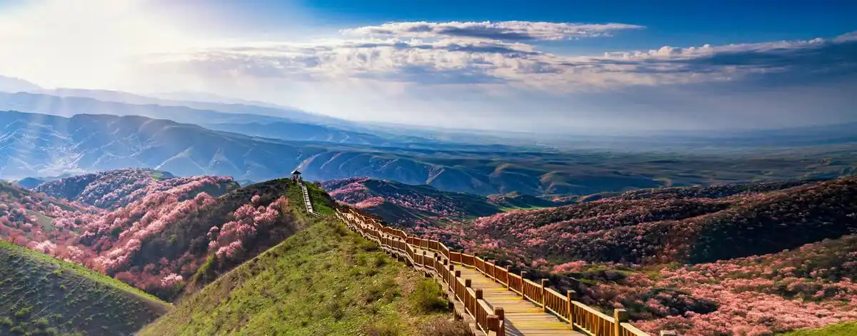 新疆福寿山杏花沟大西沟