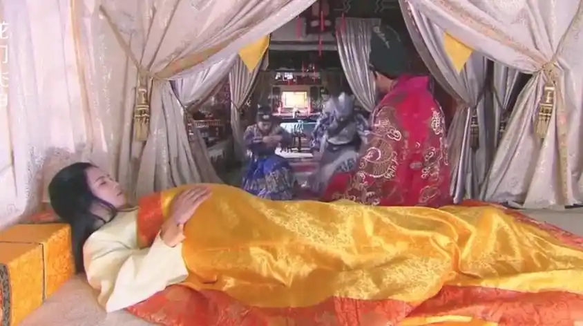 古代王后怀孕大肚子电视剧视频在线观看 - 西瓜视频