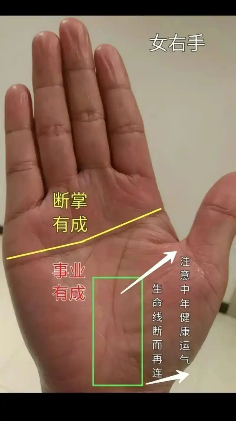 女人手相的意思 - 抖音