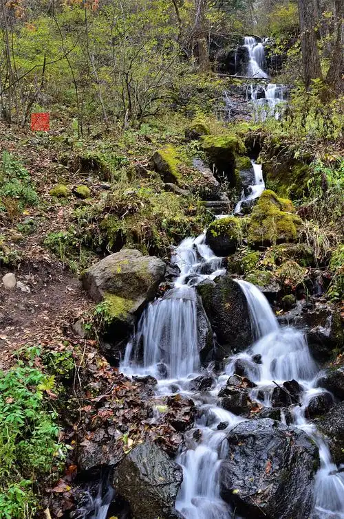 【携程攻略】长白山南坡望天鹅风景区适合家庭亲子旅游吗,望天鹅风景