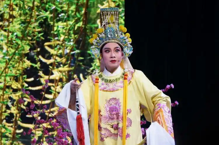 越剧小生林雪亚