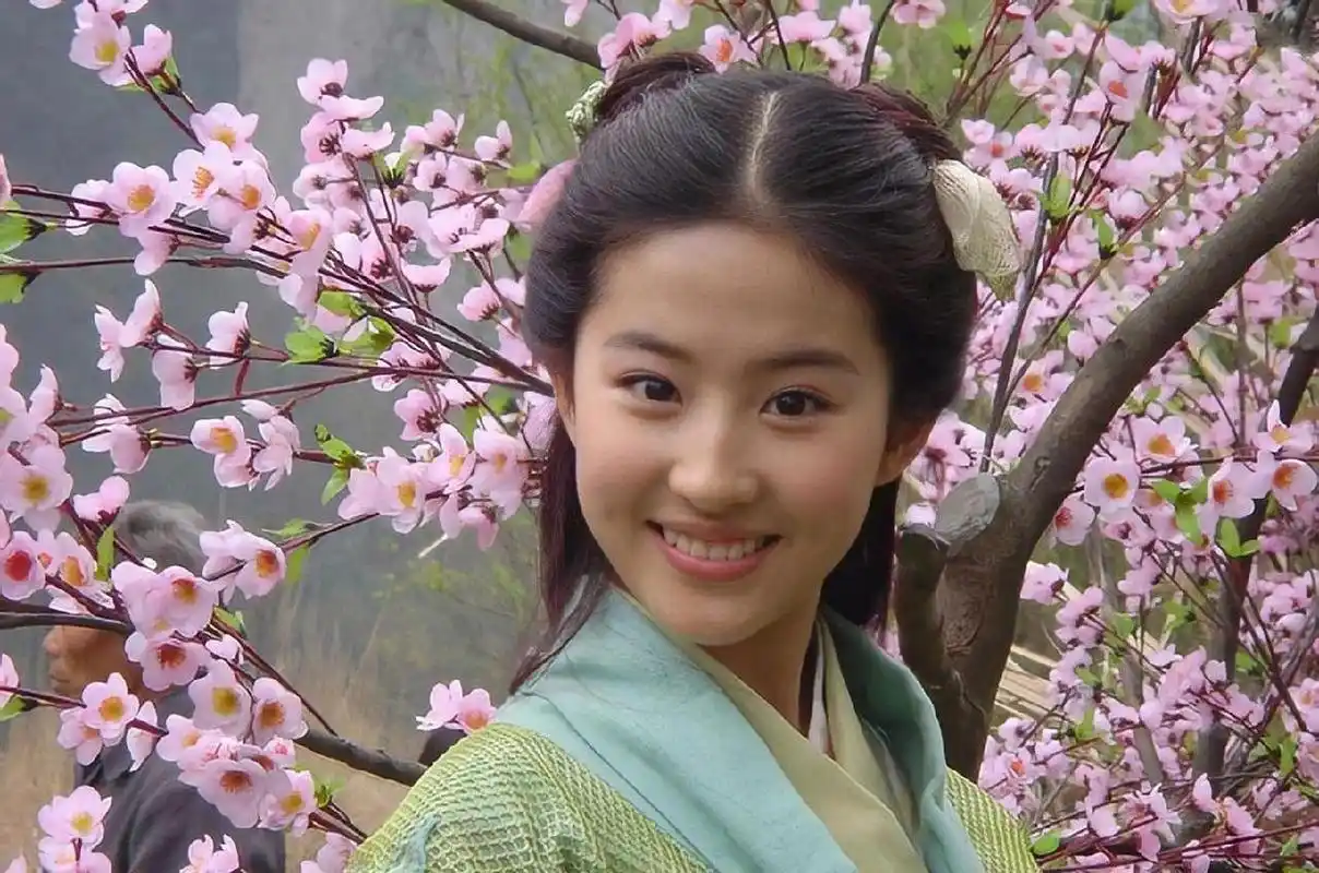 刘亦菲十几岁的时候真的很有灵气.  量身定制的角色