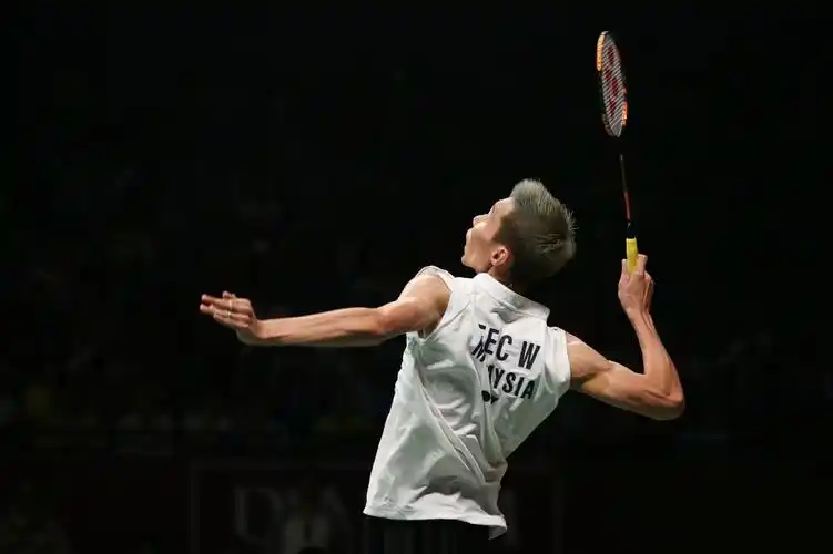 双11个精选李宗伟杀球gif图和33张杀球静态图-----(影子出品)