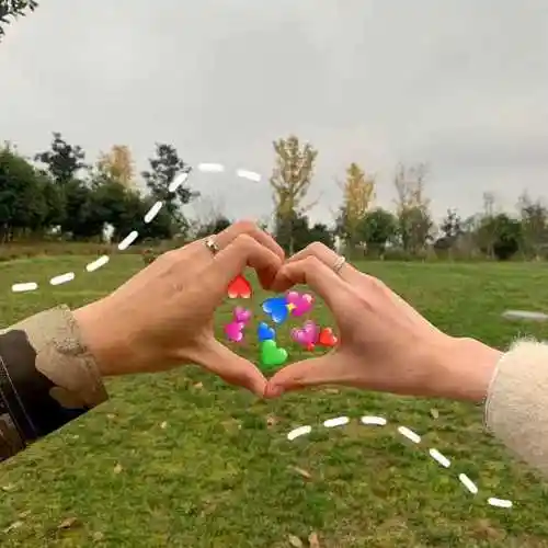 男女真正的感情是什么