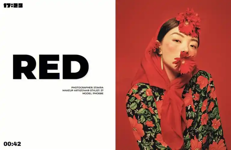 杂志收录创作登录杂志1723magazine封底