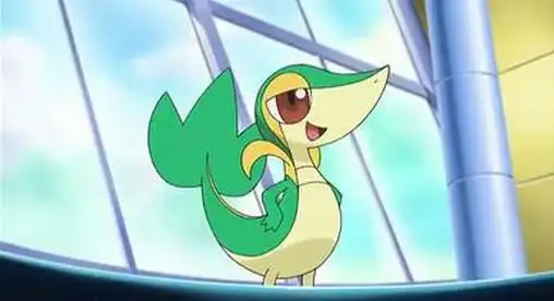 求神奇宝贝超级愿望里藤藤蛇的图片