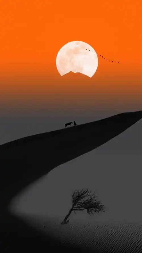 人间仙境  #唯美意境  #唯美古风