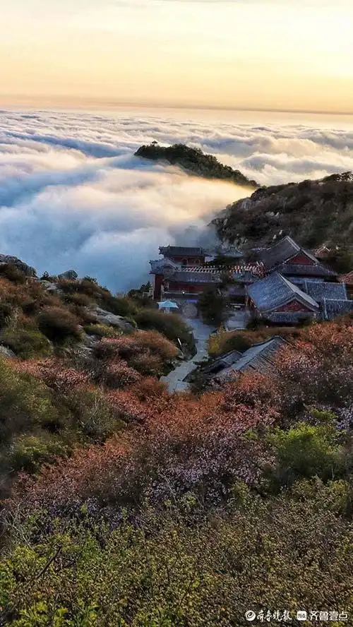 泰山之巅出现泰山宝光,云海玉盘,晚霞夕照的"加强版"美景奇观