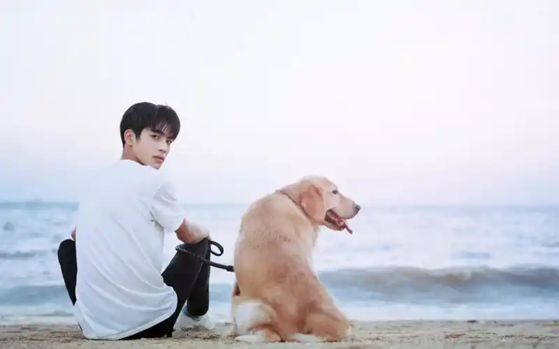 你们要的宋威龙壁纸来啦快接住