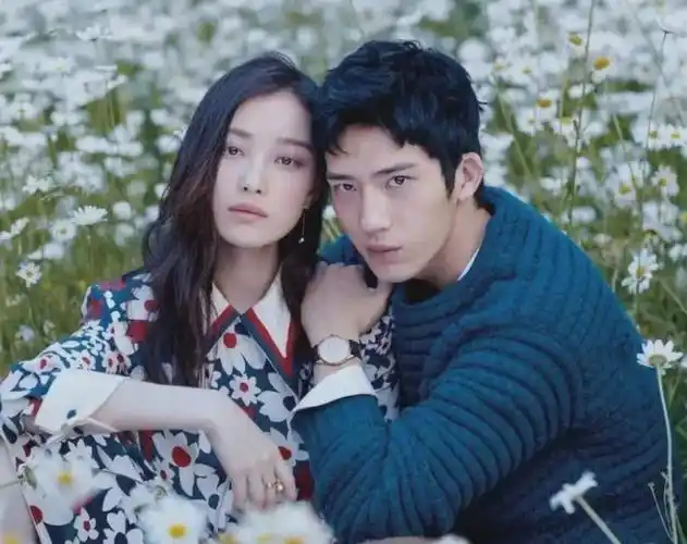 井柏然和倪妮,走散了的爱情,不一定都是撕扯和伤害