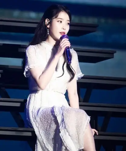 iu李知恩甜美迷人舞台照图片