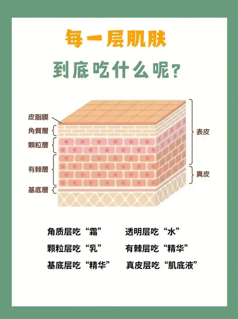 每层肌肤都吃什么?针对皮肤的不同结构,需要分层保养,把养分喂 - 抖音