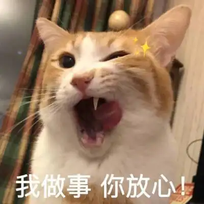 猫猫表情包 wink 我做事你放心