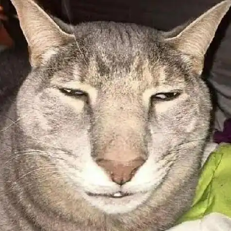 逗比可爱特别沙雕头像搞笑不像搞笑女的头像搞笑女头像像小猪佩奇搞笑