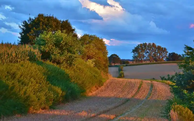 桌布 农田,田野,树木,云彩,蓝天 2880x1800 hd 高清桌布, 图片, 照片