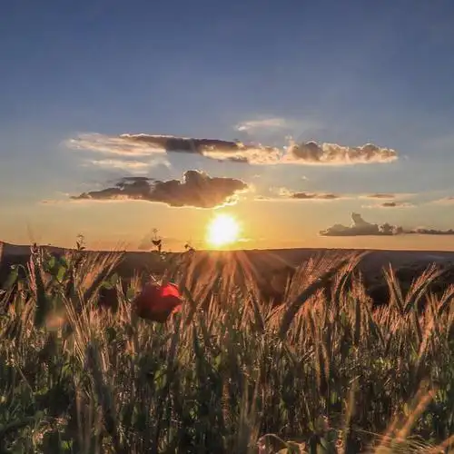 ins潮图朋友圈背景图/高质量/神仙背景