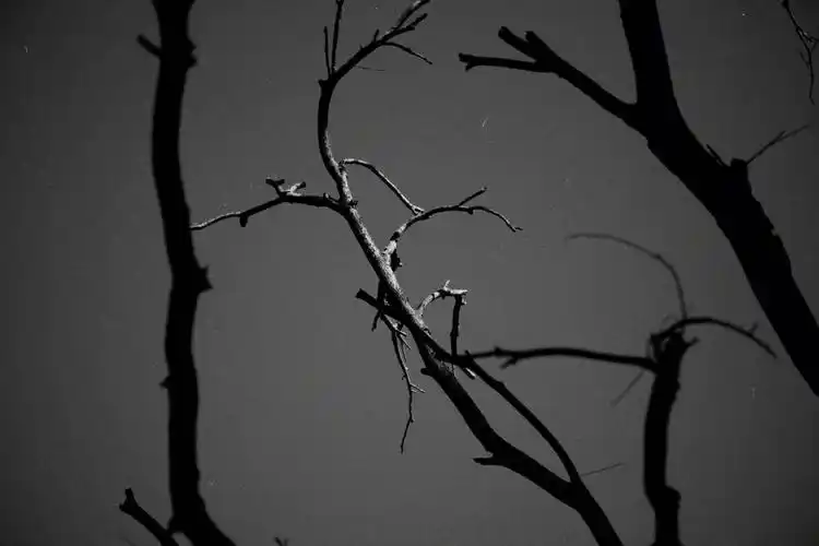 光线的存在#黑白摄影  #黑白  #黑白线条画  #唯美意境