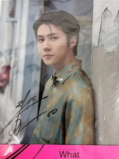 吴世勋虎牙亲签仅展示