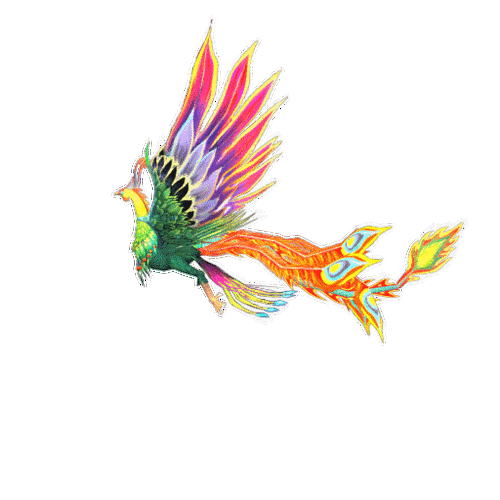 超漂亮的凤凰图片动画合集