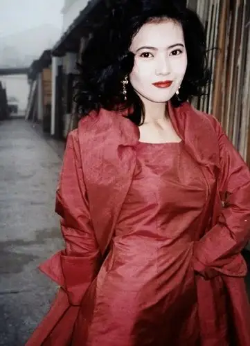 蓝洁瑛萧蔷,1968年8月13日出生于台湾省新北市,2004年,主演年代剧《大