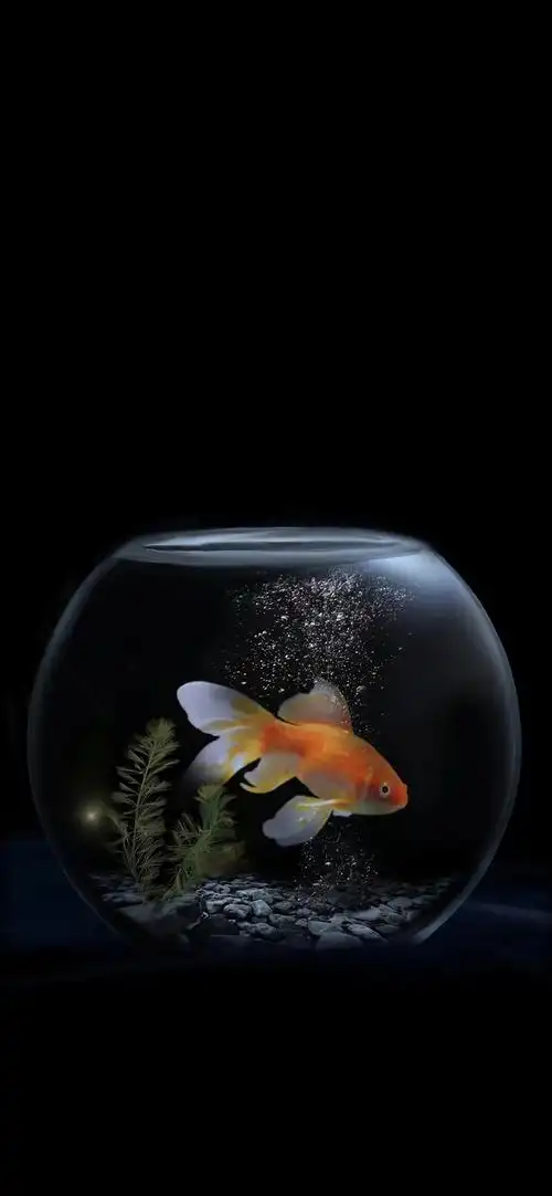 暗色系手机壁纸|暗色|手机壁纸_新浪新闻