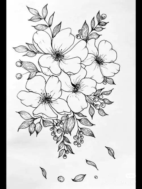 线描花卉练习
