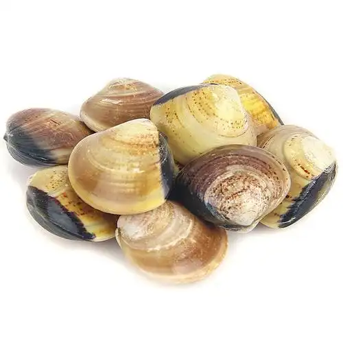 青蛾_活鲜_水产海鲜_菜乐网