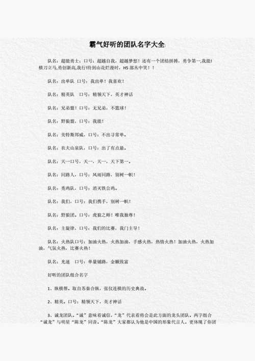霸气好听的团队名字大全docx2页