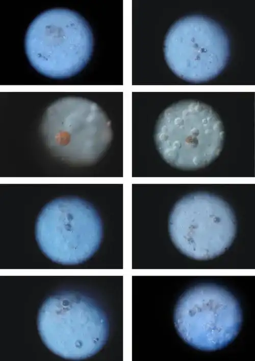 瓷器气泡是怎么形成的?人云亦云,不如自己动手