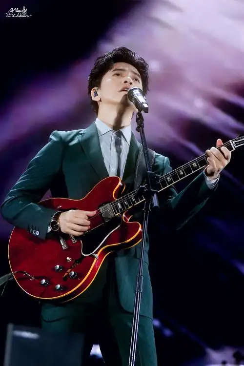 李健太湖湾音乐节