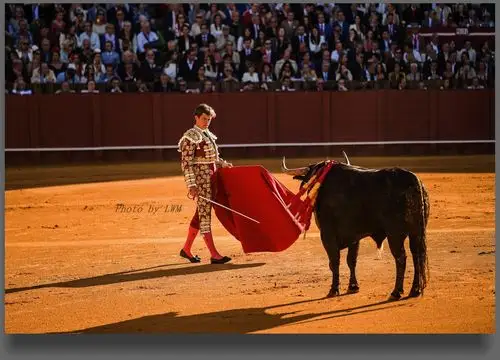 一场经典的西班牙斗牛(待续中)