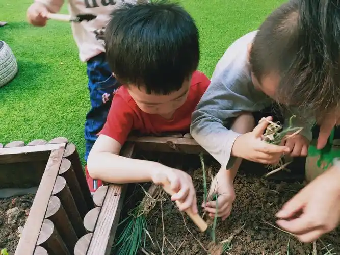 灌阳县直属机关幼儿园小一班《美丽的植物角》