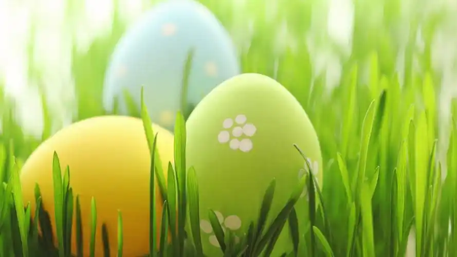 桌面,海量壁纸一键设置尺寸:3840x2160体积:729kb上传时间:2021-10-20