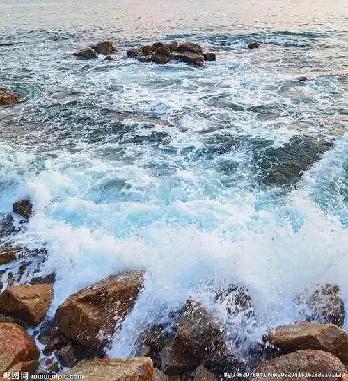 浪花图片